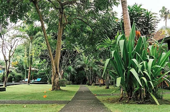 Agung Wiwin ホテル バリ島